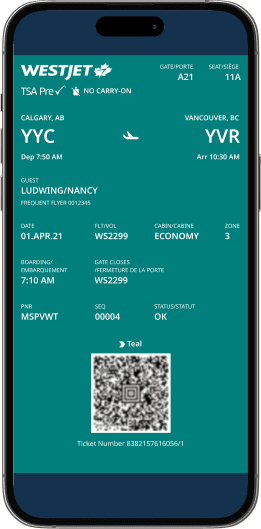 Mobile boarding pass screen